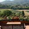 agriturismo macchia al pino