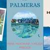 Hospedaje ´´ Las Palmeras ´´