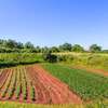 Sonniges Ferienhaus inmitten grüner Natur