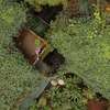 Greenspaces Munnar