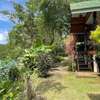 Mangrove bungalow & restaurant
