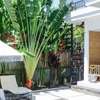 Barefoot- 5BR villa in central Canggu