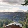 Diamond Vault Rustic Mountain Cabins