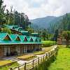 Backwoods Retreat, Shimla