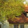Ferienhaus Rose