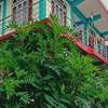 Mairung Gaon Farm Stay