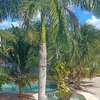 Hotel Balam