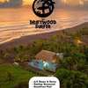 The Driftwood Surfer Beachfront Hostel / Restauran
