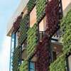 Hotel Dumaguete