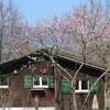Chalet - Le Champ des Perches, Berlincourt