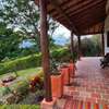Ecotree Campestre