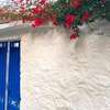 the NEW old traditional house