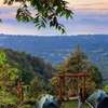 Phulipa Jungle Camp