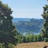 Bodensee - Litzelstetten
