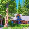 Lakefront History cabin