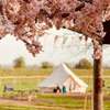 Adult Only Glamping At Willow Grove Farm