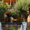 El jazmín de la Fuente casa rural