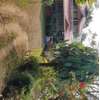 Timla Home Stay