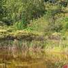 Sitio Encanto Do Lago