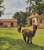 Hotel 3 Alpacas