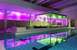 Lohja Spa & Resort
