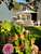 Hotel La Licorne