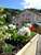 Les Cevennes
