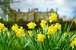 Gisborough Hall Hotel