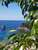 Sea Bliss Adults Only