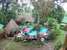 Hotel Hacienda Tijax Jungle Logde