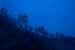Fragrant Nature Munnar - A Classified Five Star Hotel