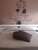 Hotel Stazione
