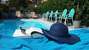 Hotel Condor - Con Piscina
