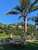 Vietri Coast Hotel