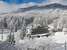 ALP MYOKO