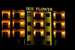 Iris Flower Hotel