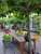 Simplon Hostel