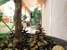 Hotel Dama s Sobach'koy