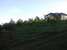 The Crested Crane Bwindi Hotel