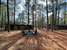 Buck Springs Resort