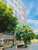 Sen Trang Hotel