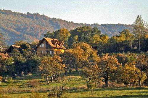 www.casa-vale.net
