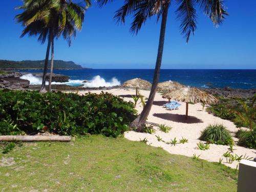 www.villapuntacoral.com