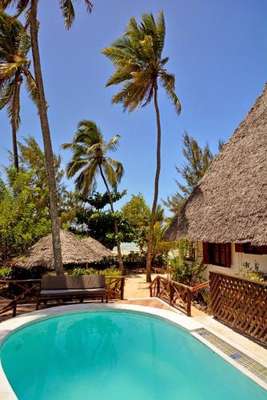www.zanzibarforyou.com