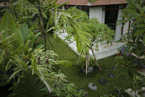 www.ubudjoglo.com