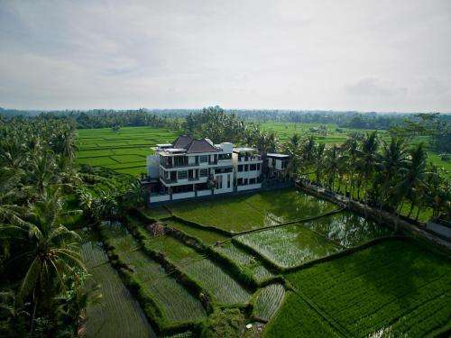 www.luxevillasbali.com