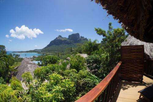 www.rohotufarelodge.com