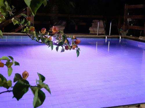 www.coralriviera.com