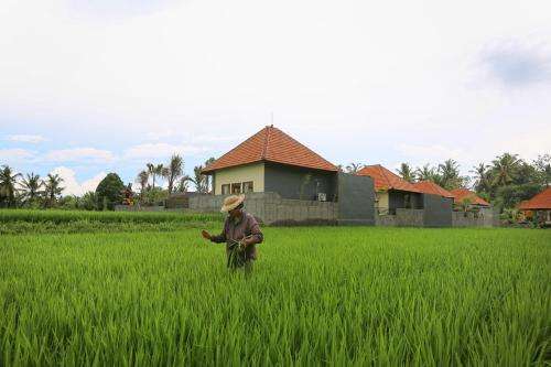 www.asrisariubud.com