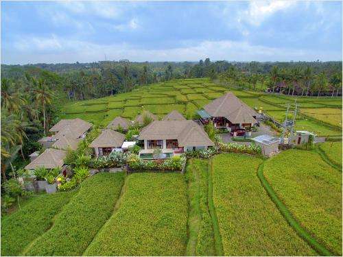 www.anusaraluxuryvillas.com